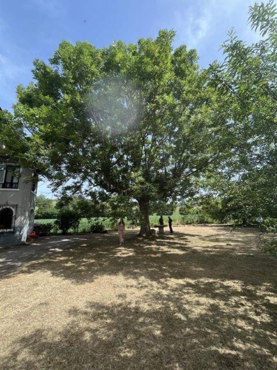 Byggegrund til salg i La Cavada - € 520.000 (Ref: 8089765)