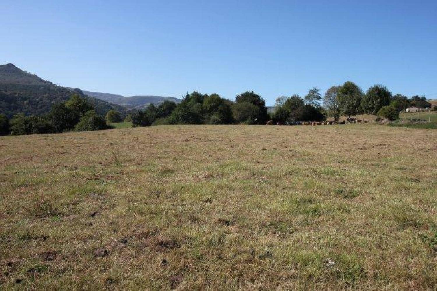 Byggegrund til salg i La Cavada - € 520.000 (Ref: 8089765)