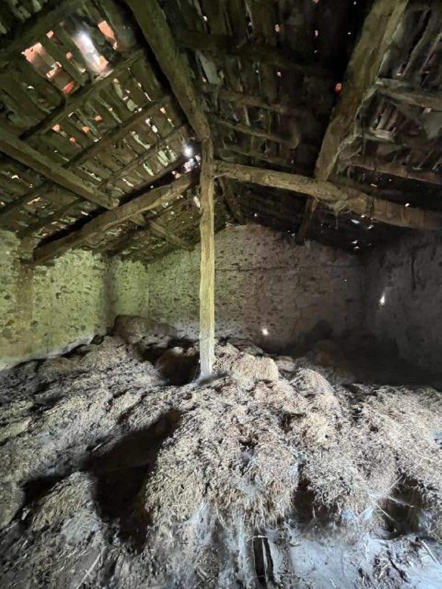 Byggegrund til salg i La Cavada - € 520.000 (Ref: 8089765)