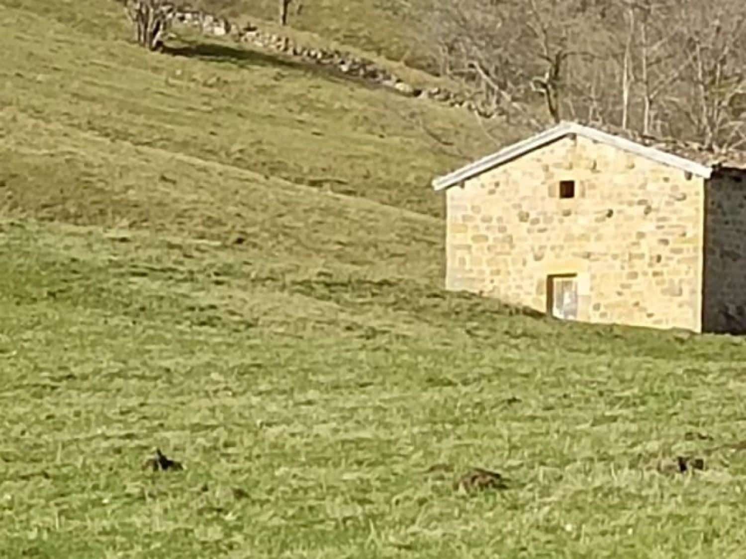 Byggegrund til salg i Rionansa - € 520.000 (Ref: 8089790)