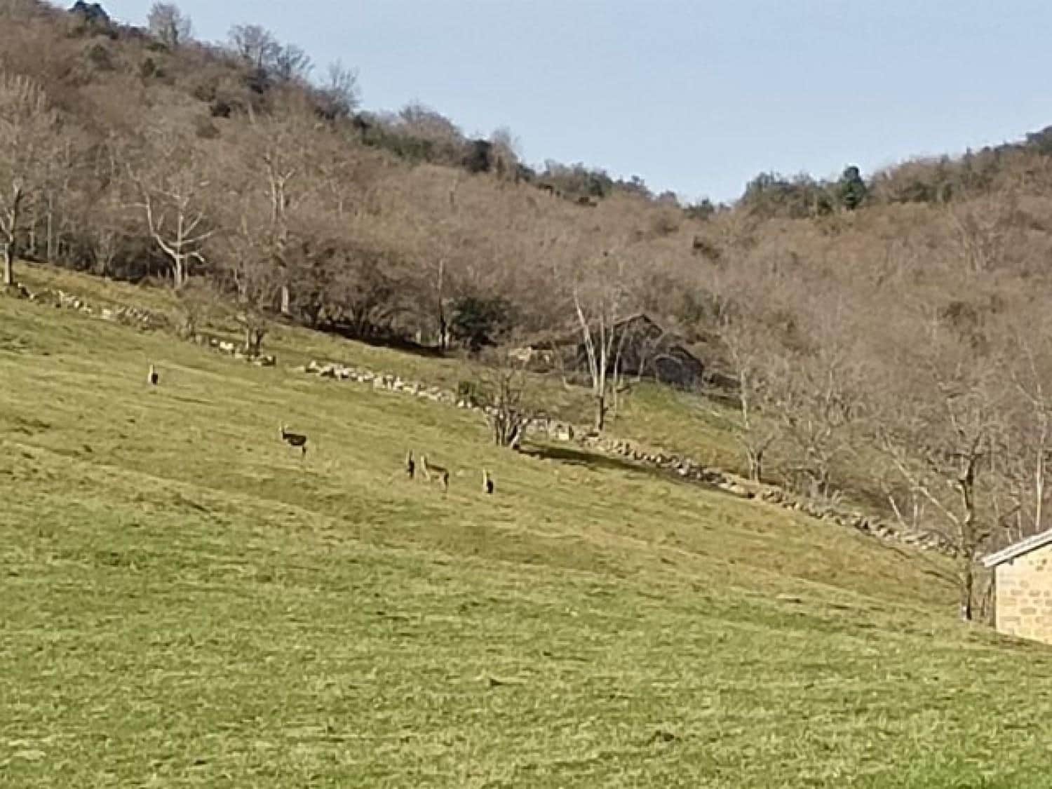 Byggegrund til salg i Rionansa - € 520.000 (Ref: 8089790)