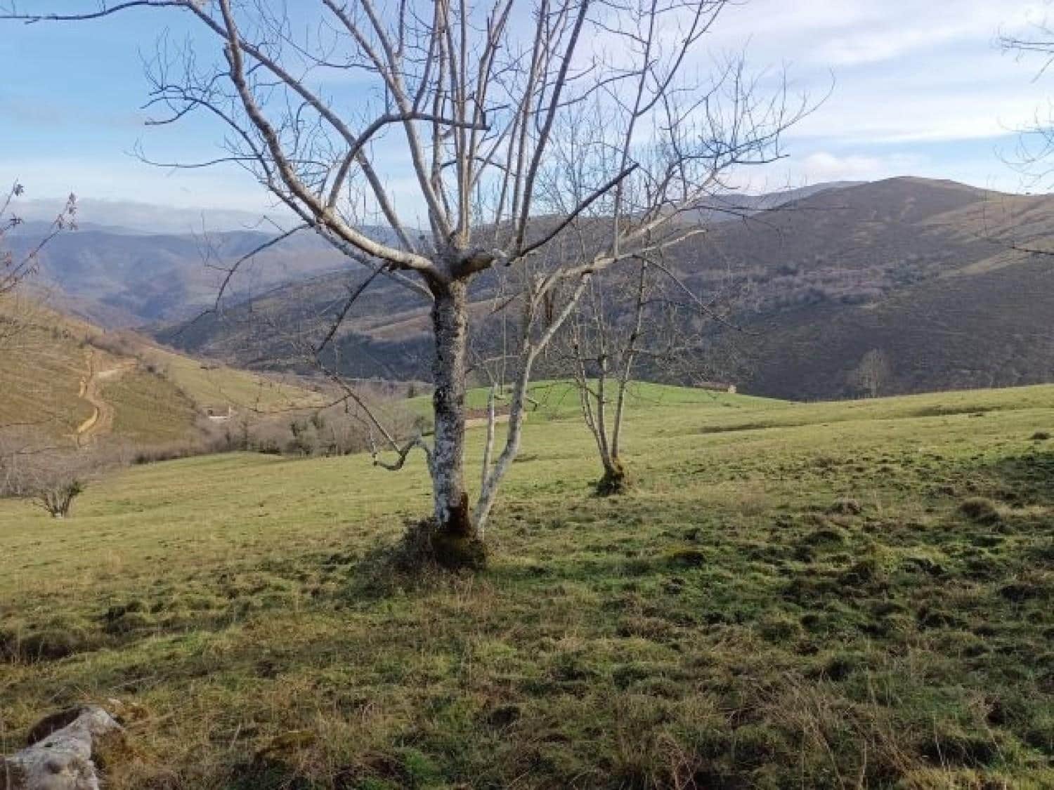 Byggegrund til salg i Rionansa - € 520.000 (Ref: 8089790)