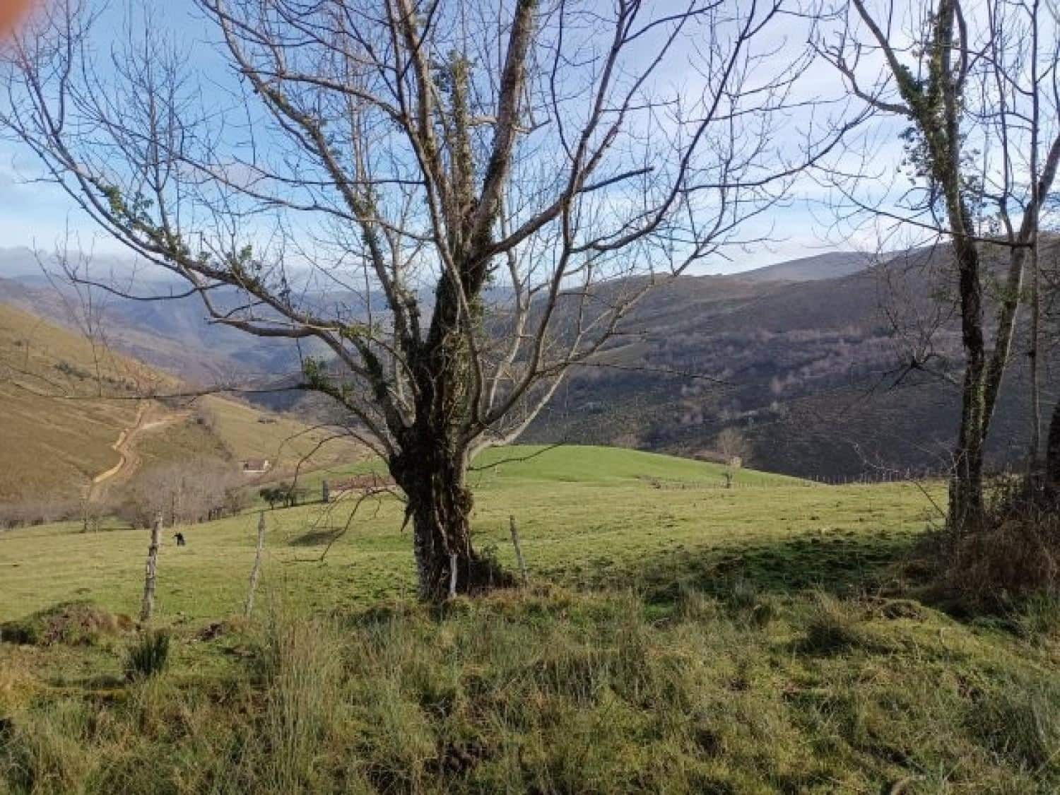 Byggegrund til salg i Rionansa - € 520.000 (Ref: 8089790)