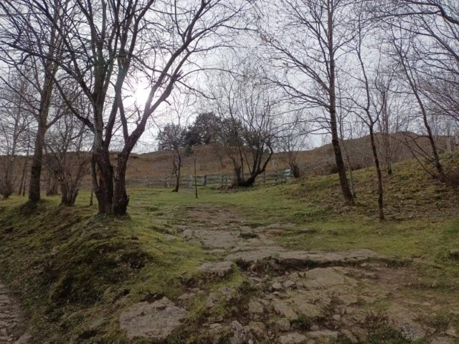 Byggegrund til salg i Rionansa - € 520.000 (Ref: 8089790)