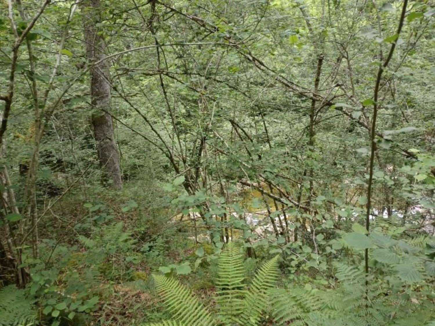 Byggegrund til salg i Rionansa - € 195.000 (Ref: 8089792)