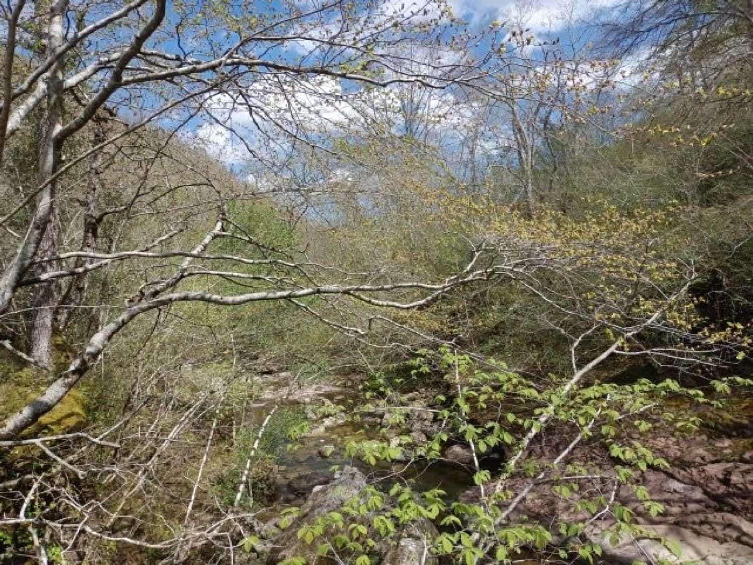 Byggegrund til salg i Rionansa - € 195.000 (Ref: 8089792)