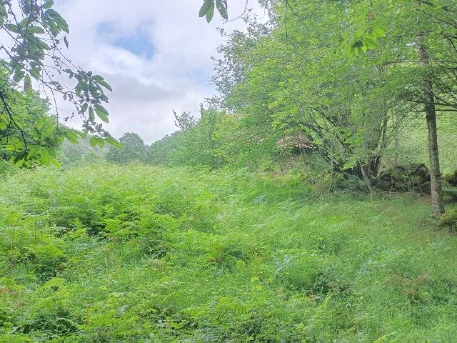 Byggegrund til salg i Rionansa - € 195.000 (Ref: 8089792)