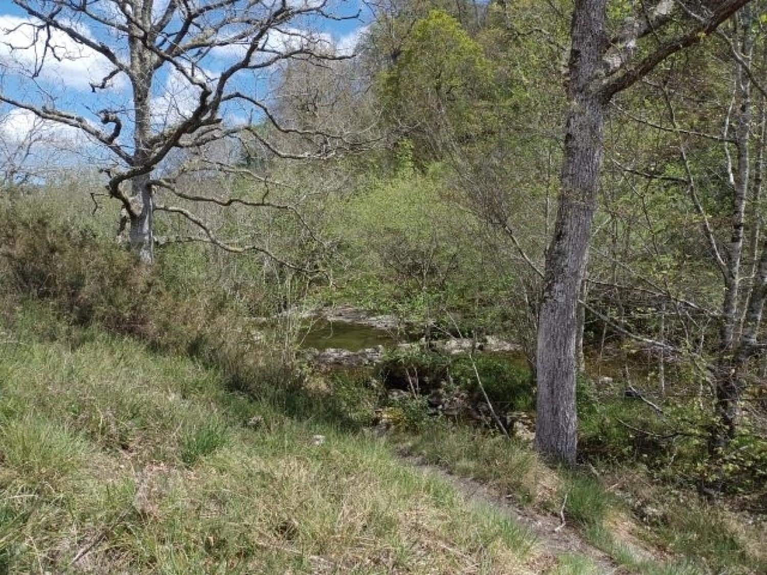 Byggegrund til salg i Rionansa - € 195.000 (Ref: 8089792)