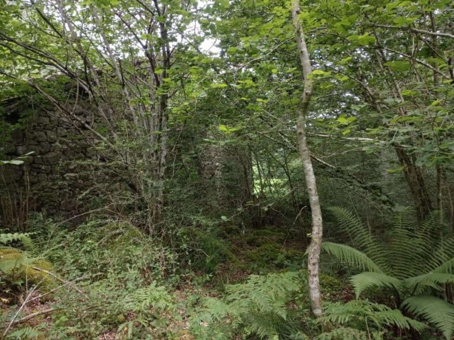 Byggegrund til salg i Rionansa - € 195.000 (Ref: 8089792)