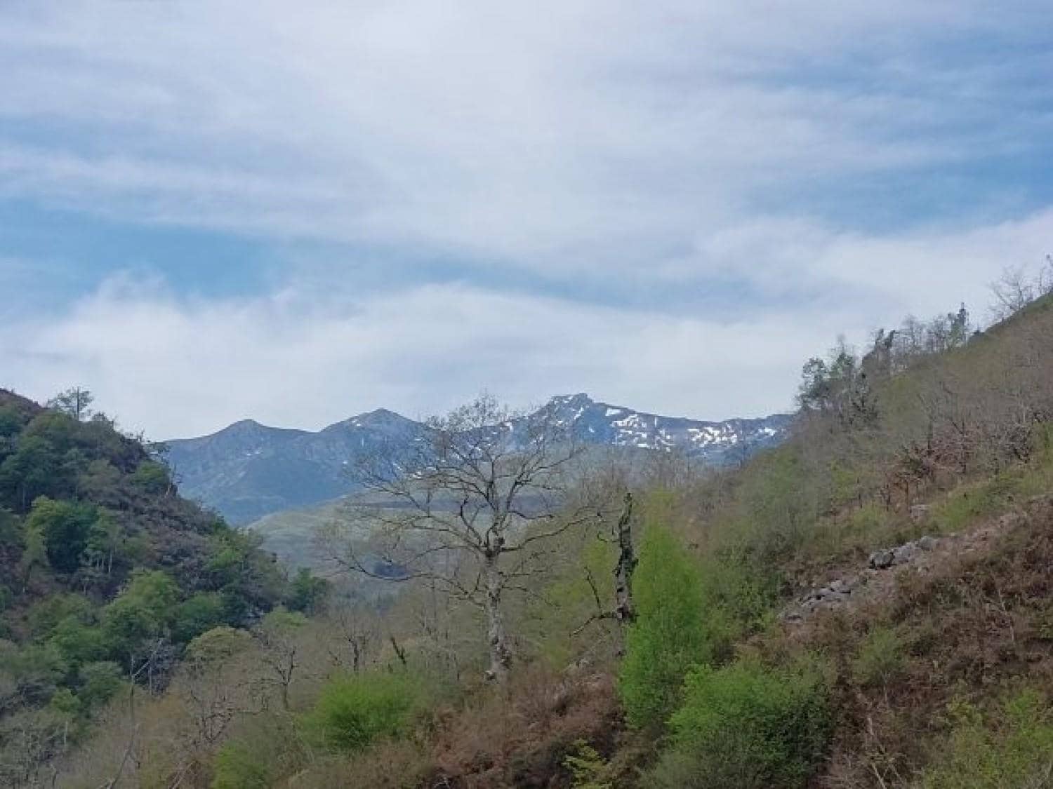 Byggegrund til salg i Rionansa - € 195.000 (Ref: 8089792)