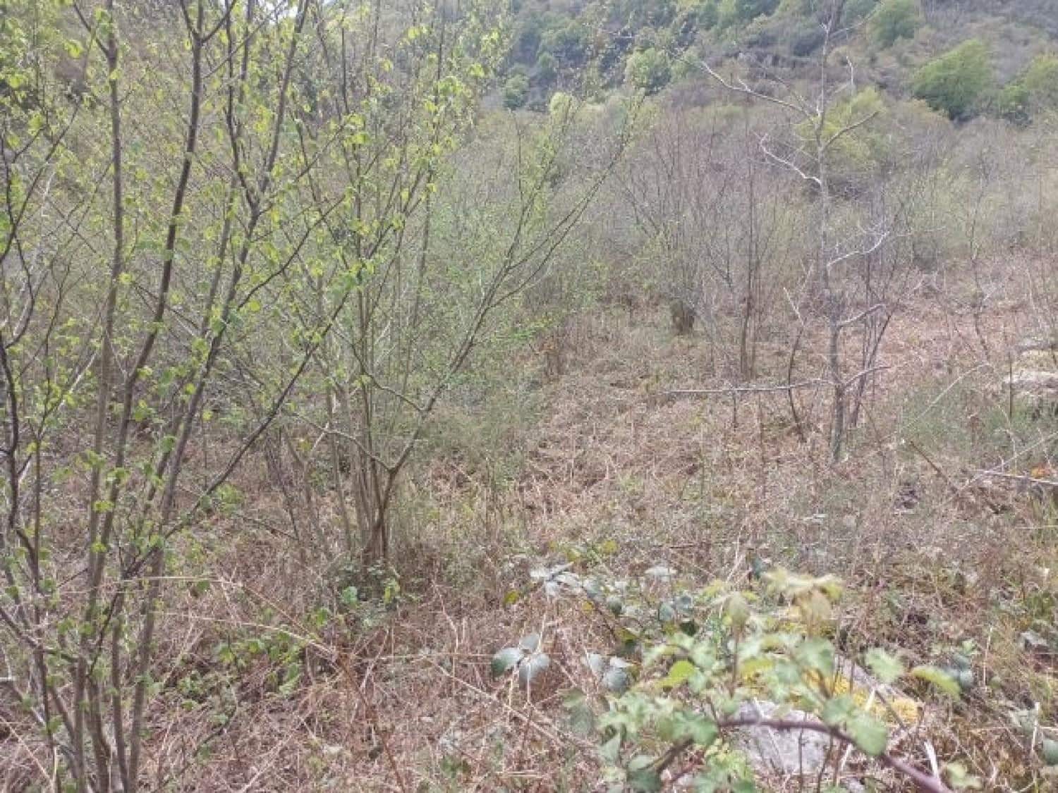 Byggegrund til salg i Rionansa - € 195.000 (Ref: 8089792)