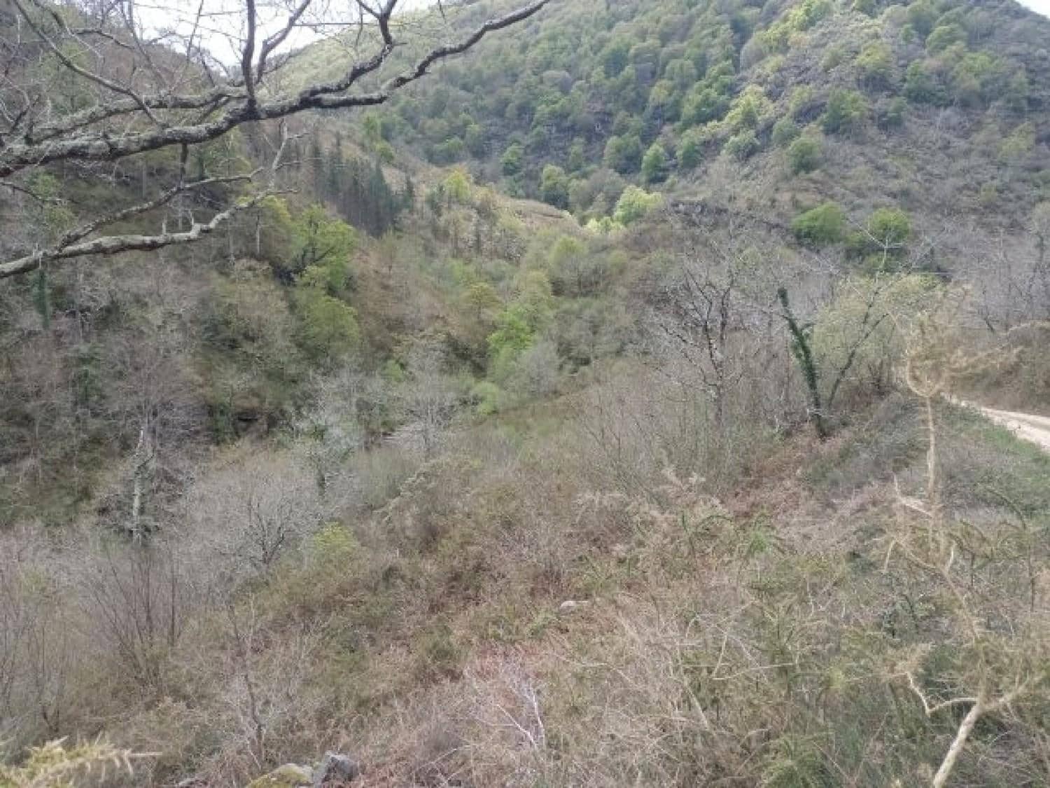 Byggegrund til salg i Rionansa - € 195.000 (Ref: 8089792)