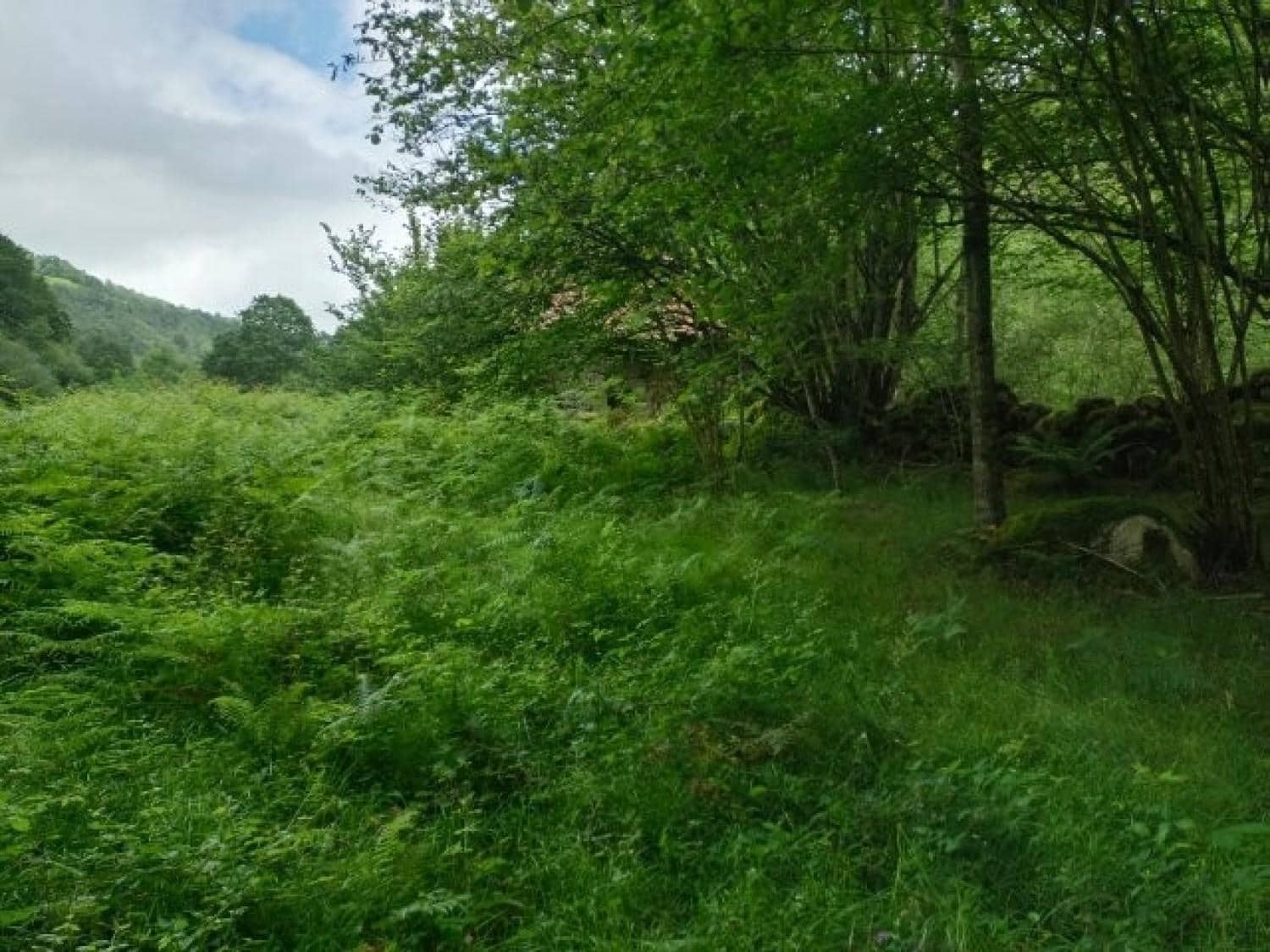 Byggegrund til salg i Rionansa - € 195.000 (Ref: 8089792)