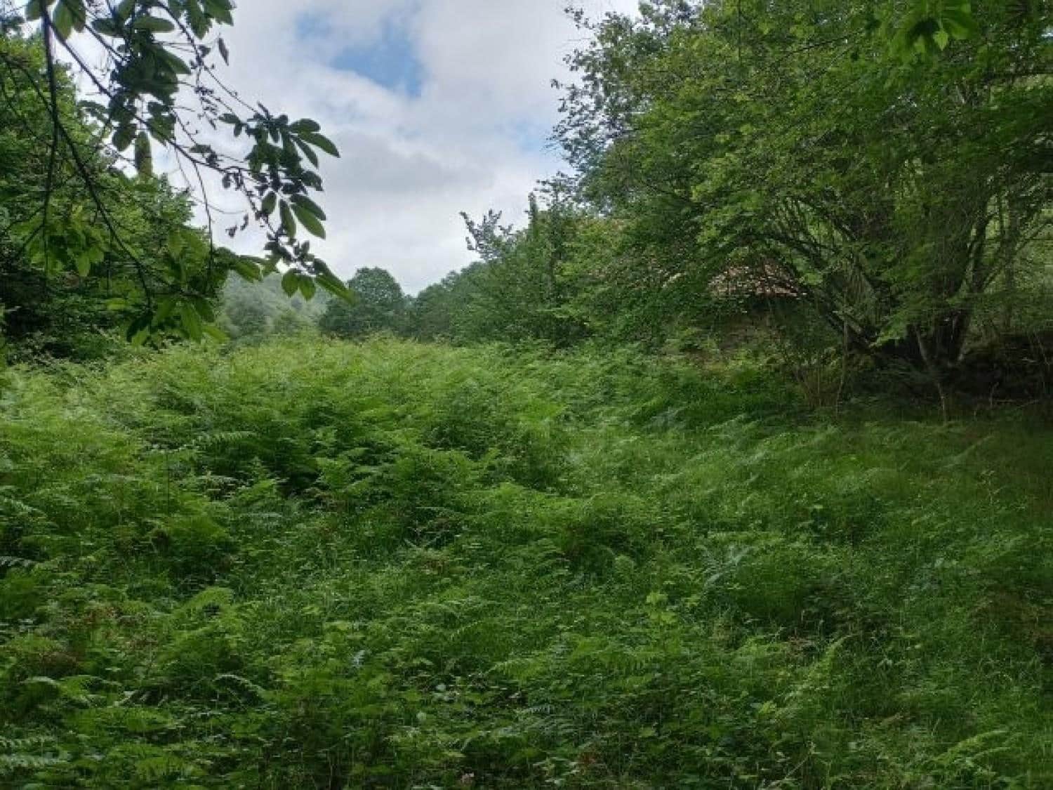 Byggegrund til salg i Rionansa - € 195.000 (Ref: 8089792)