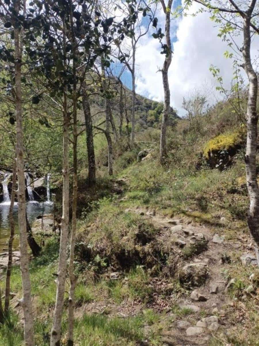 Byggegrund til salg i Rionansa - € 195.000 (Ref: 8089792)