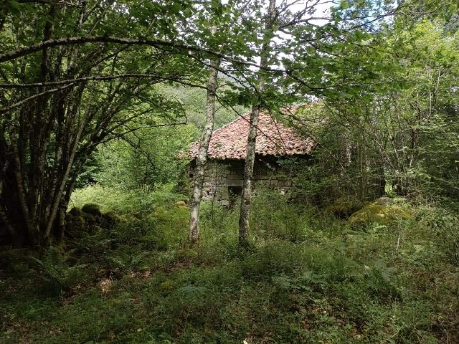 Byggegrund til salg i Rionansa - € 195.000 (Ref: 8089792)