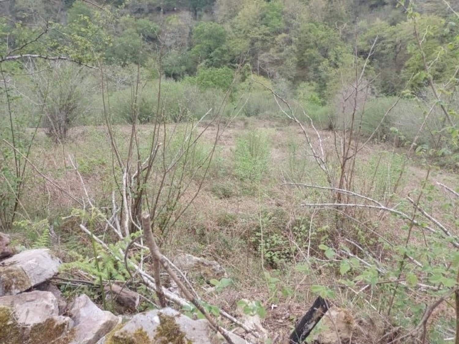 Byggegrund til salg i Rionansa - € 195.000 (Ref: 8089792)