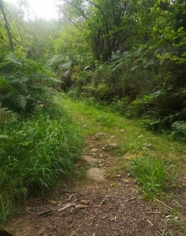 Building Plot for sale in Rionansa - € 195,000 (Ref: 8089792)