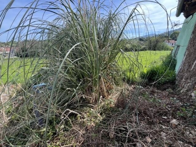 4 bedroom Townhouse for sale in Villaescusa - € 66,000 (Ref: 8304593)