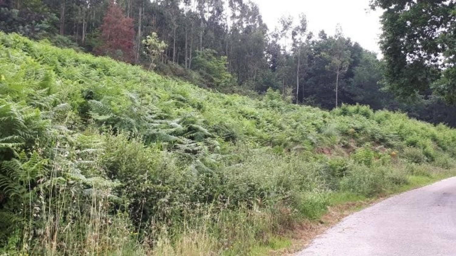 Building Plot for sale in Villanueva de la Pena - € 54,000 (Ref: 8417807)