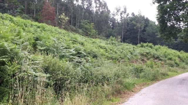 Building Plot for sale in Villanueva de la Peña, Mazcuerras - € 54,000 (Ref: 8417807)