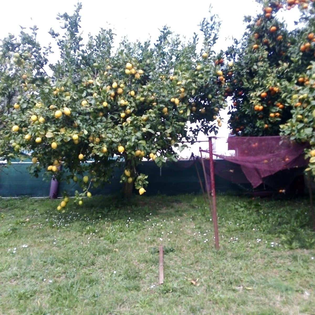 5 makuuhuone Paritalo myytävänä paikassa Parbayon - 390 000 € (Ref: 9114098)