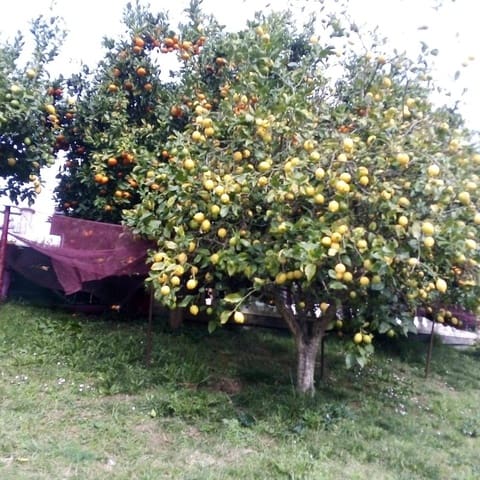 5 quarto Moradia Geminada para venda em Parbayón, Piélagos - 390 000 € (Ref: 9114098)