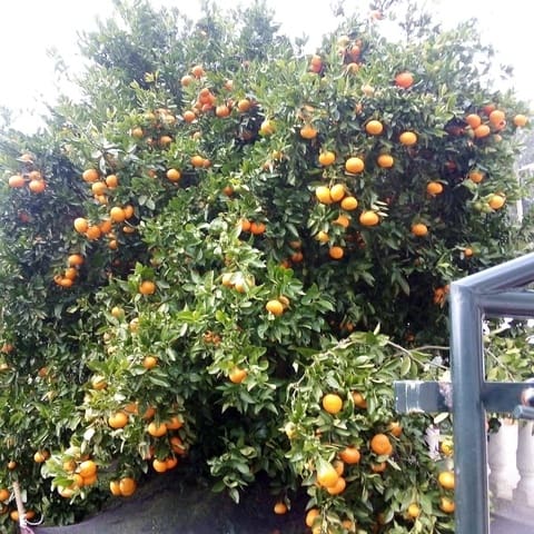 5 quarto Moradia Geminada para venda em Parbayón, Piélagos - 390 000 € (Ref: 9114098)