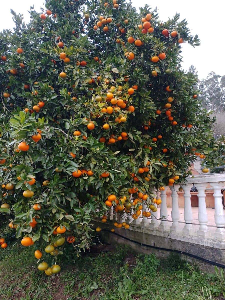 5 makuuhuone Paritalo myytävänä paikassa Parbayon - 390 000 € (Ref: 9114098)