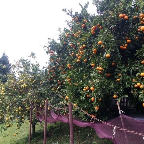 5 quarto Moradia Geminada para venda em Parbayón, Piélagos - 390 000 € (Ref: 9114098)