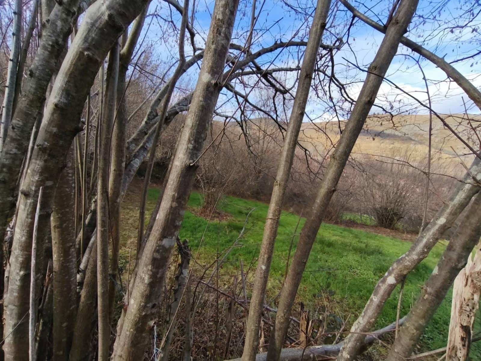 Byggetomt til salgs i Rionansa - € 18 000 (Ref: 9513308)