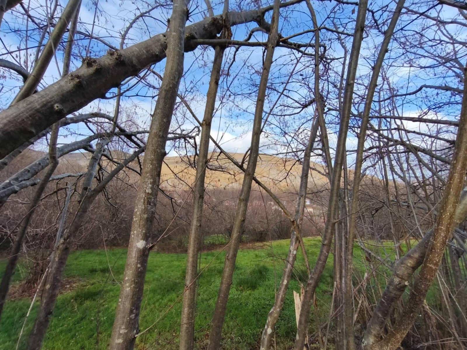 Byggetomt til salgs i Rionansa - € 18 000 (Ref: 9513308)