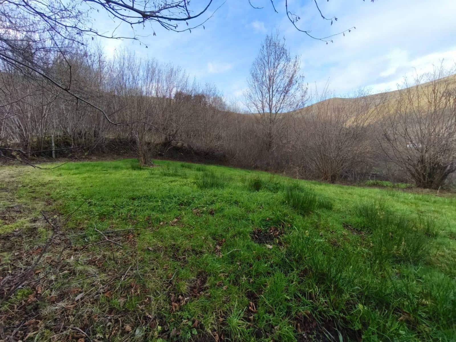 Byggetomt til salgs i Rionansa - € 18 000 (Ref: 9513308)