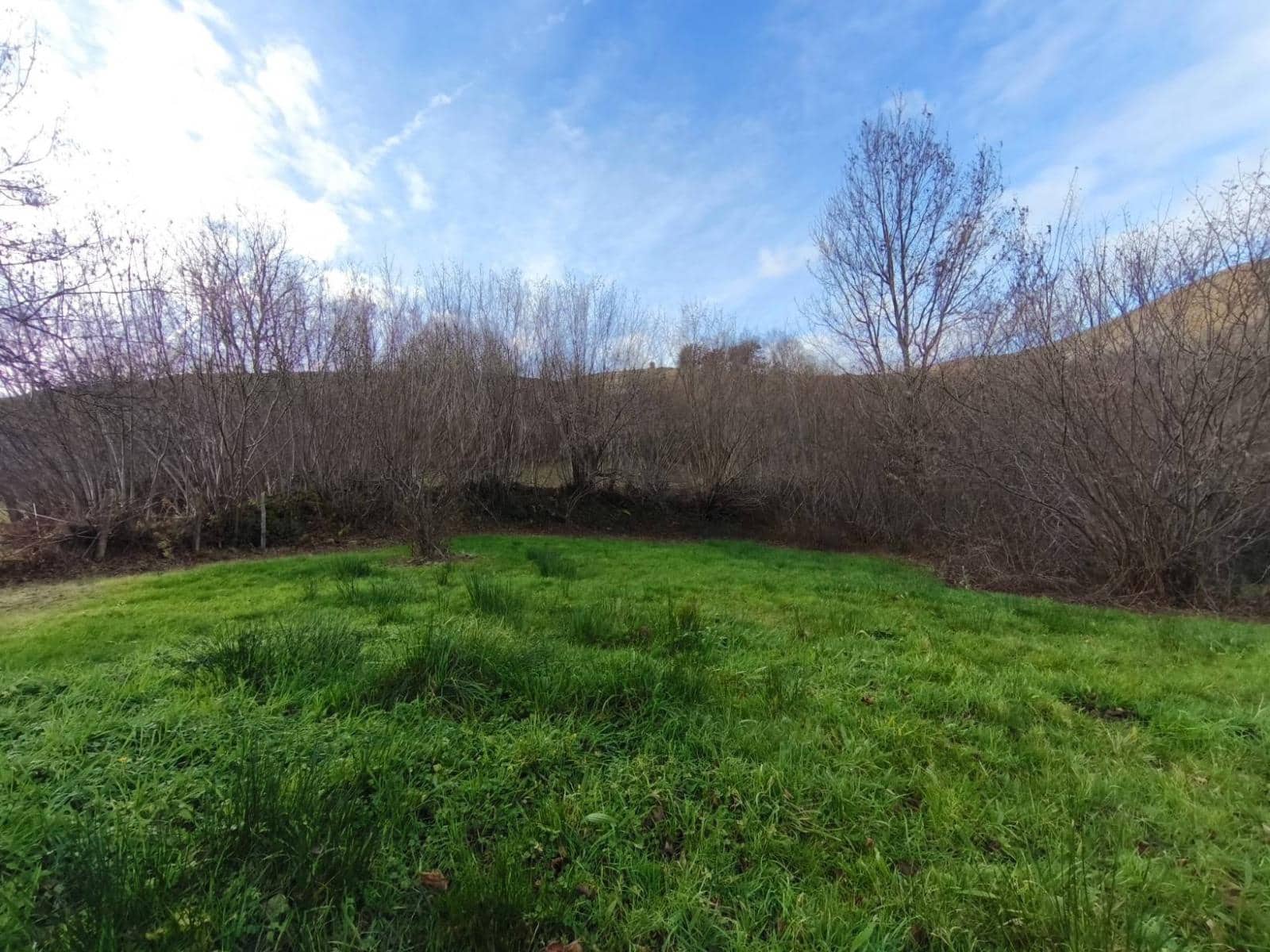 Byggetomt til salgs i Rionansa - € 18 000 (Ref: 9513308)