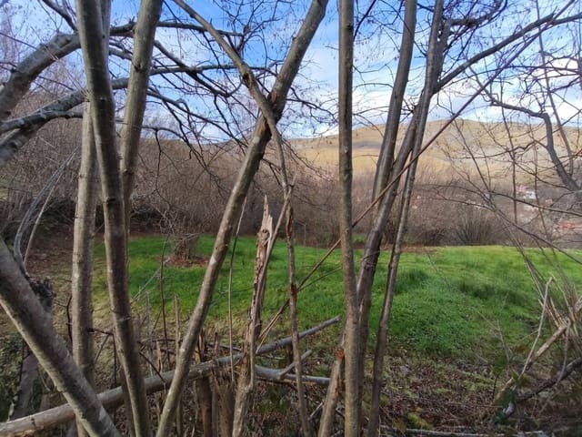 Byggetomt til salgs i Rionansa - € 18 000 (Ref: 9513308)