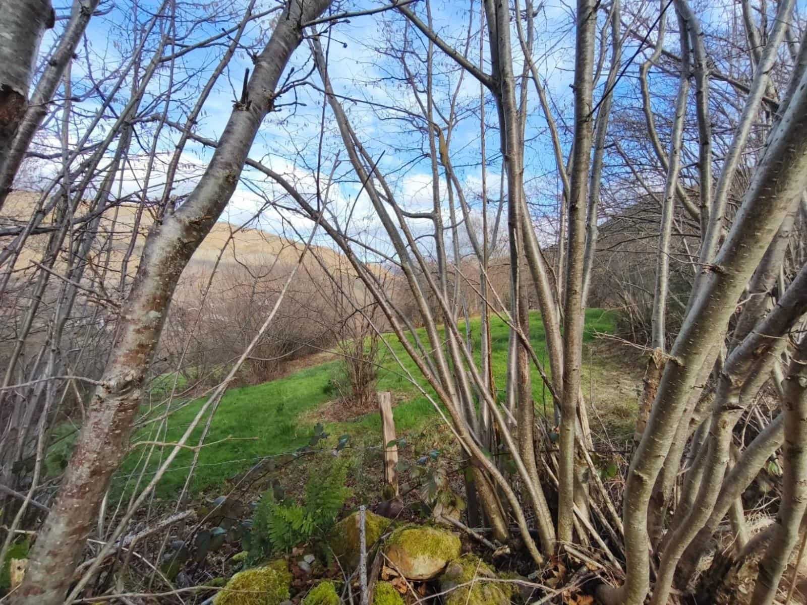 Byggetomt til salgs i Rionansa - € 18 000 (Ref: 9513308)