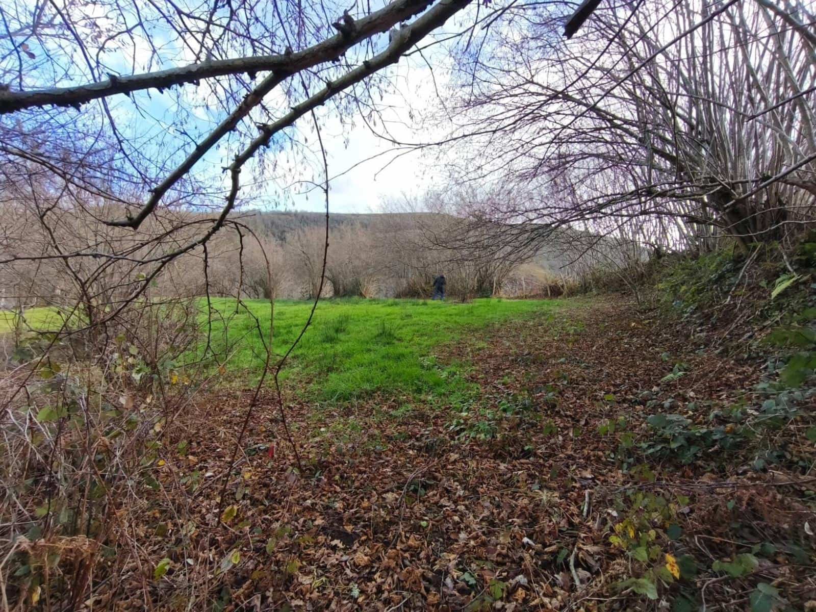 Byggetomt til salgs i Rionansa - € 18 000 (Ref: 9513308)