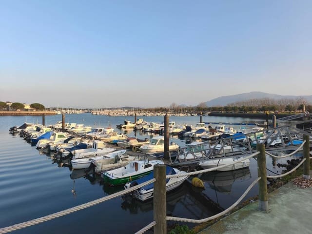 Commercieel te koop in Camargo - € 300.000 (Ref: 9655872)