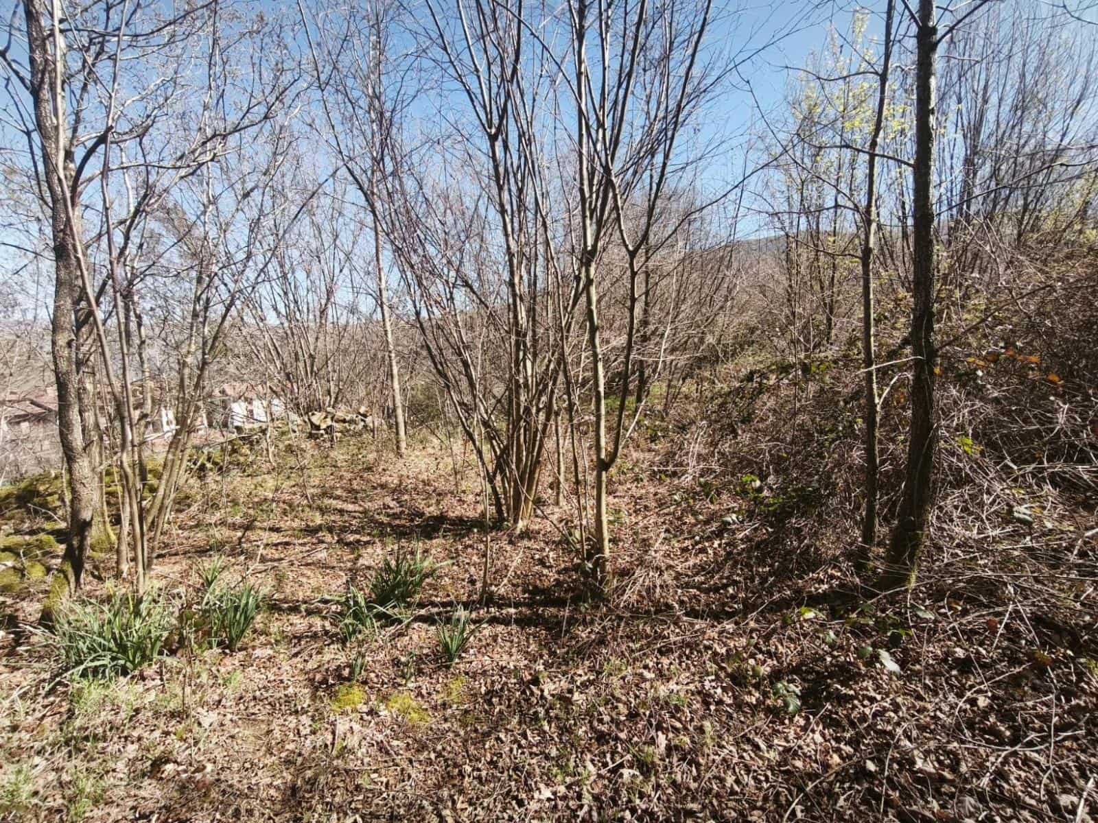 Building Plot for sale in Rionansa - € 99,000 (Ref: 9719779)