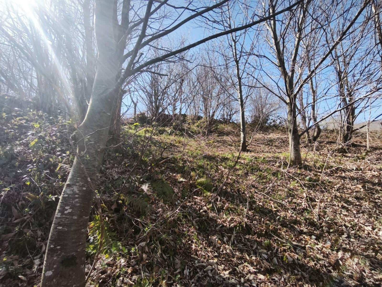 Building Plot for sale in Rionansa - € 99,000 (Ref: 9719779)