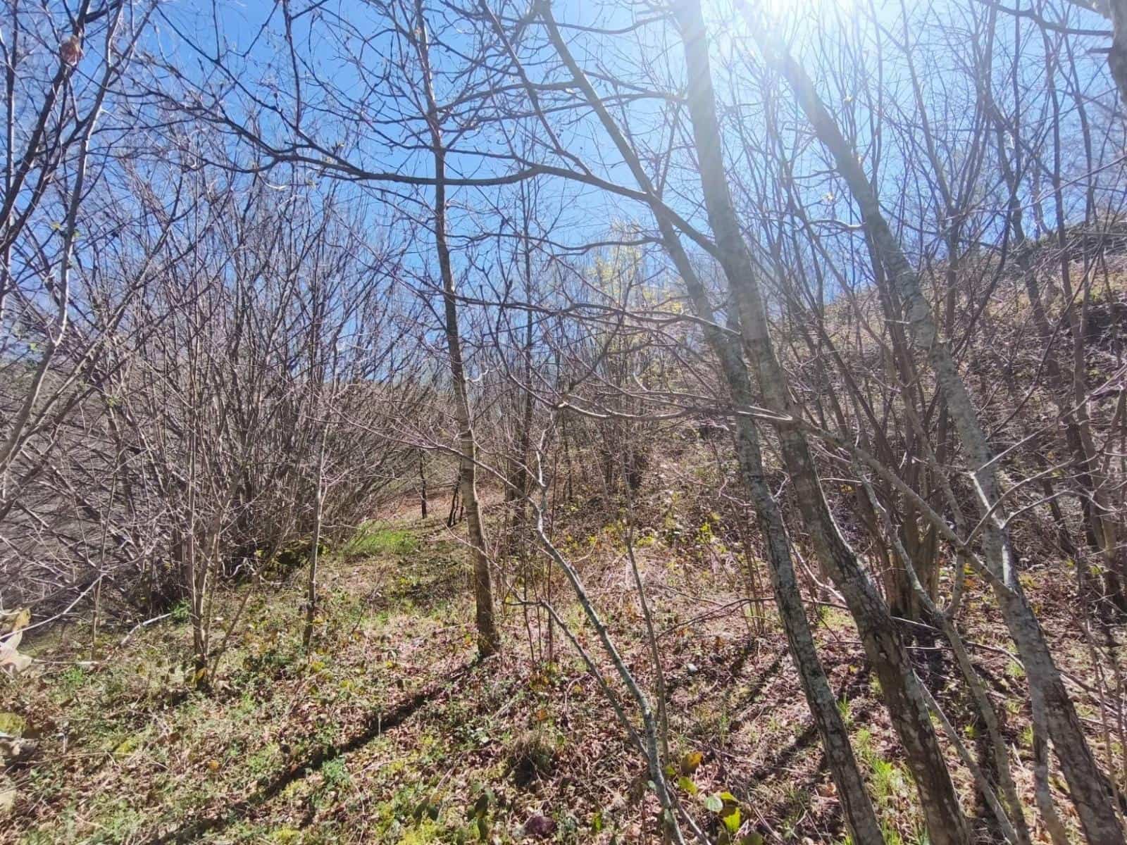 Building Plot for sale in Rionansa - € 99,000 (Ref: 9719779)