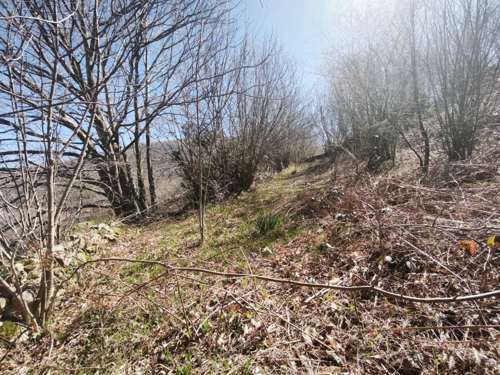 Building Plot for sale in Rionansa - € 99,000 (Ref: 9719779)