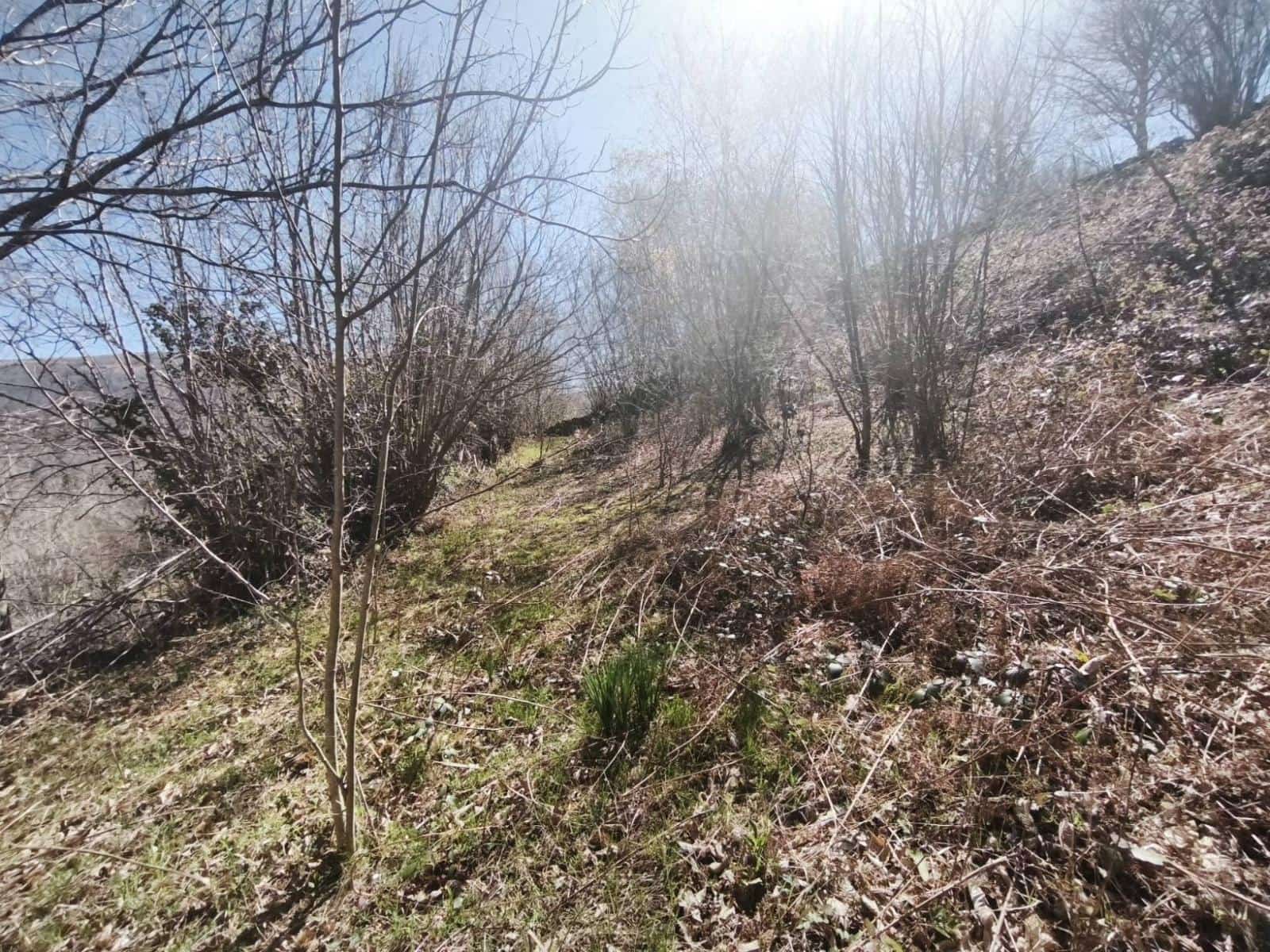 Building Plot for sale in Rionansa - € 99,000 (Ref: 9719779)