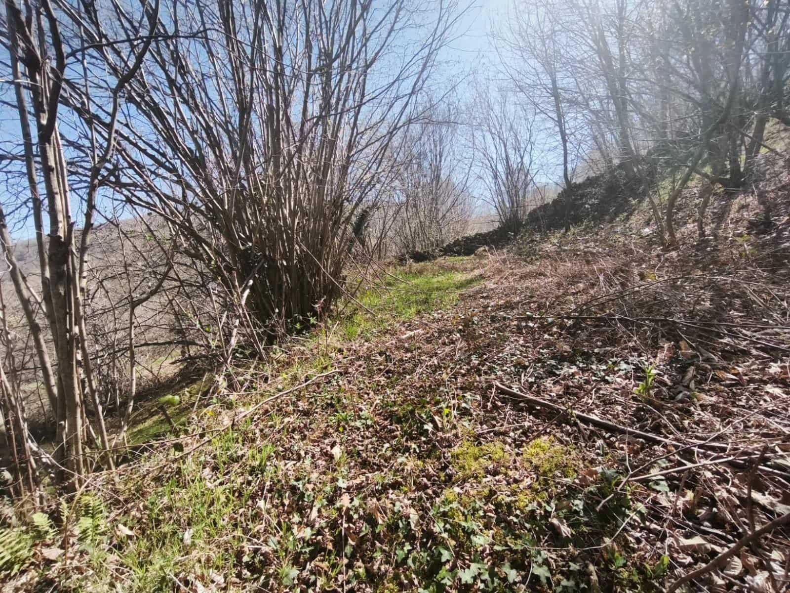 Building Plot for sale in Rionansa - € 99,000 (Ref: 9719779)