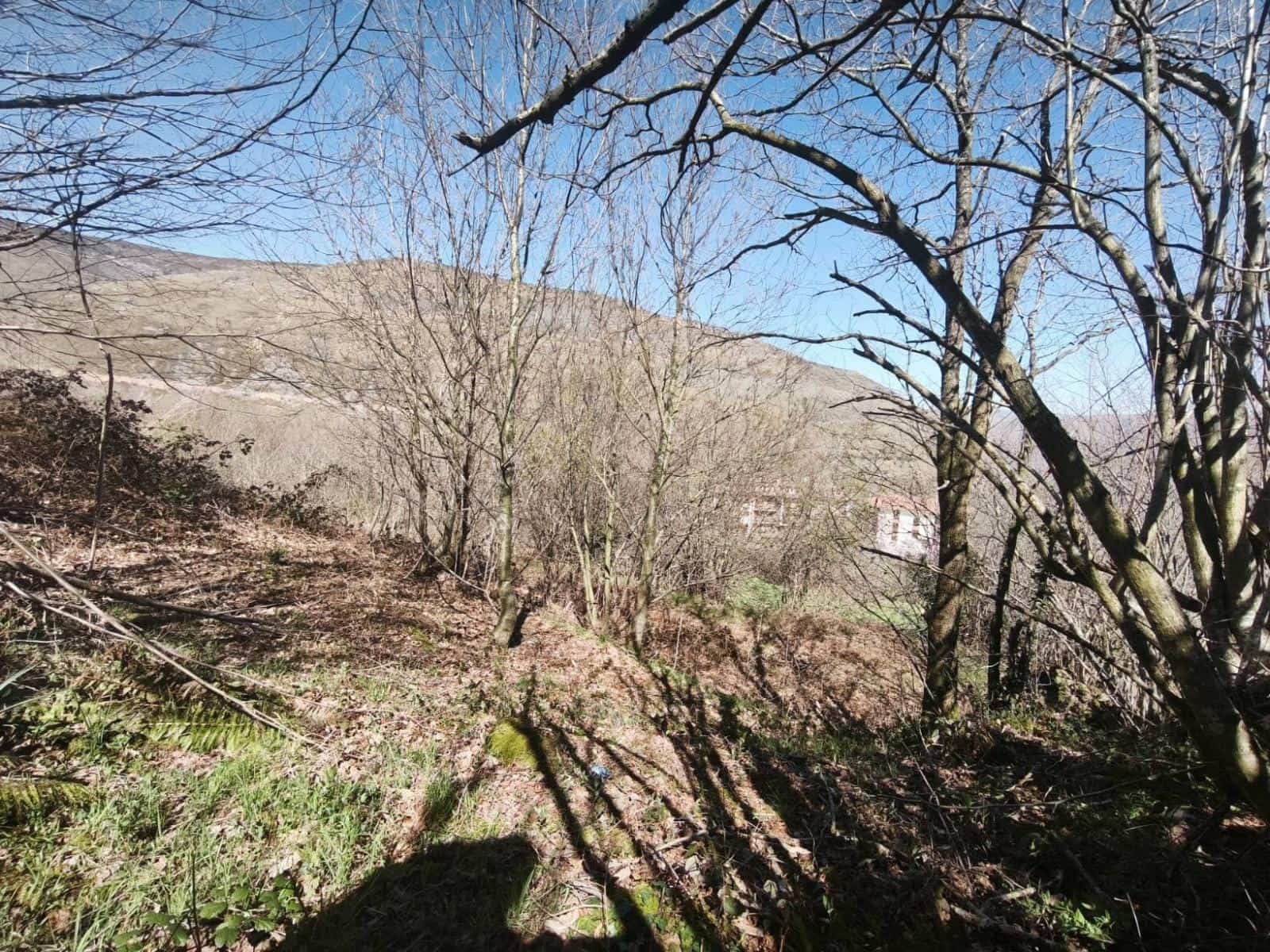 Building Plot for sale in Rionansa - € 99,000 (Ref: 9719779)