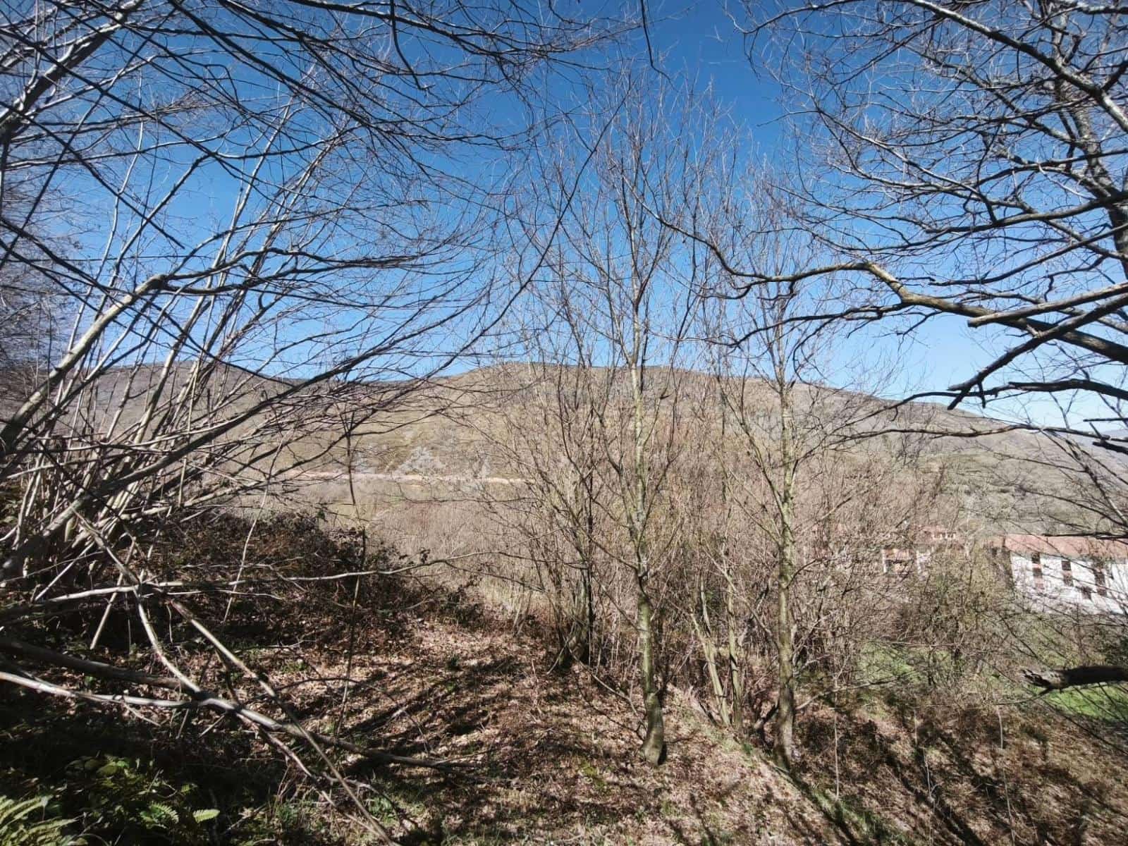 Building Plot for sale in Rionansa - € 99,000 (Ref: 9719779)