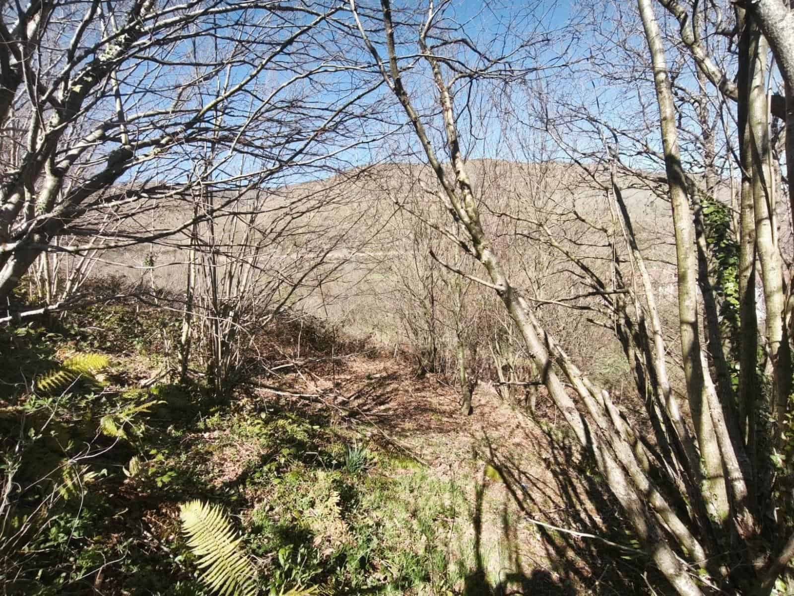 Building Plot for sale in Rionansa - € 99,000 (Ref: 9719779)