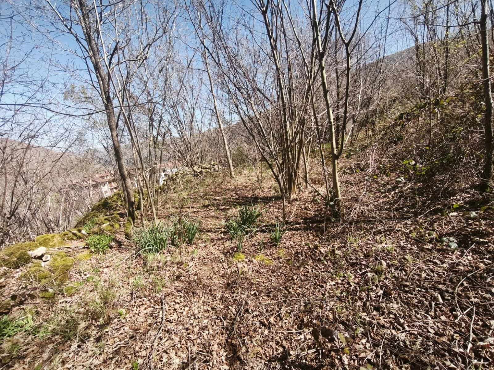 Building Plot for sale in Rionansa - € 99,000 (Ref: 9719779)