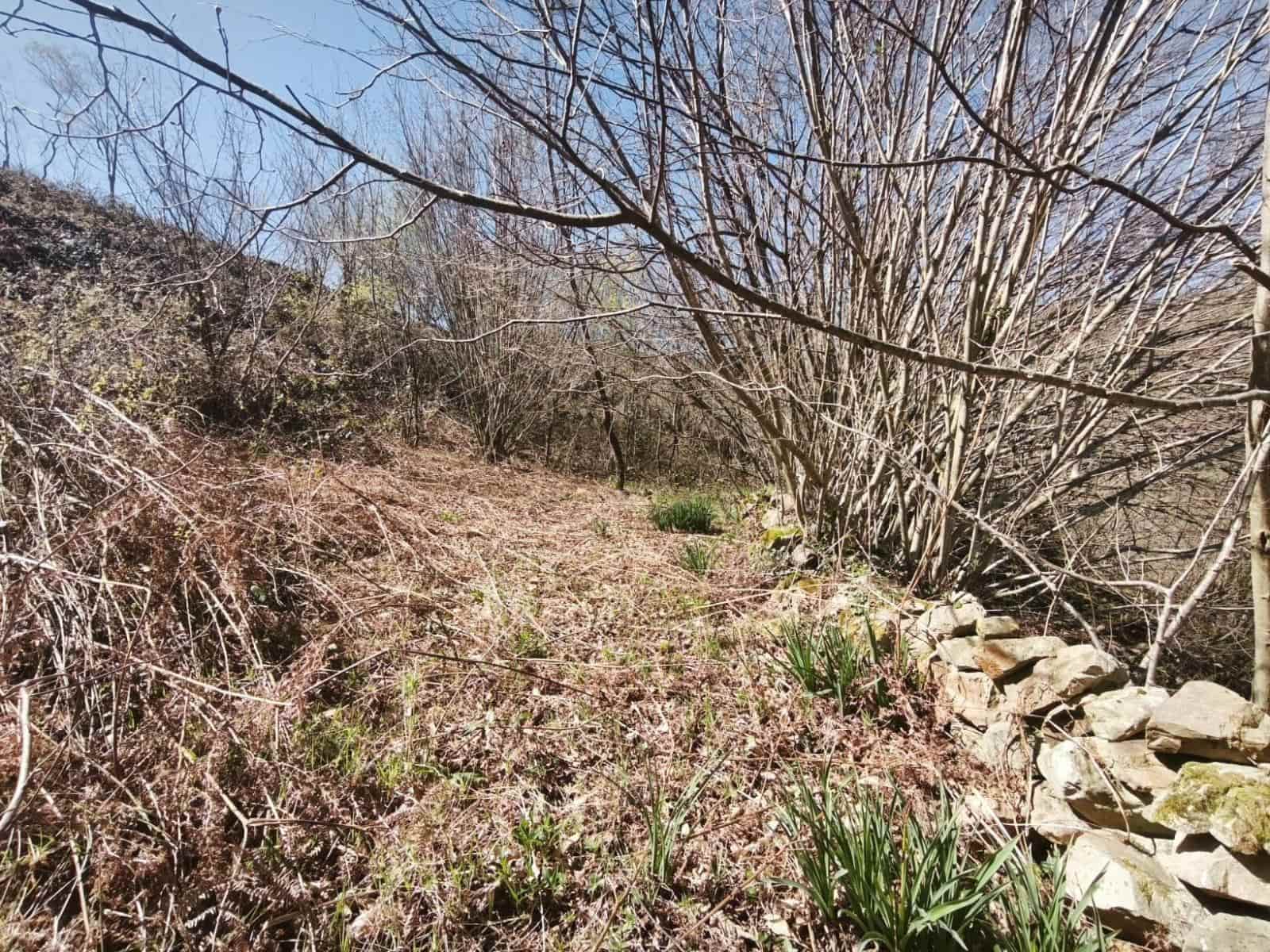 Building Plot for sale in Rionansa - € 99,000 (Ref: 9719779)