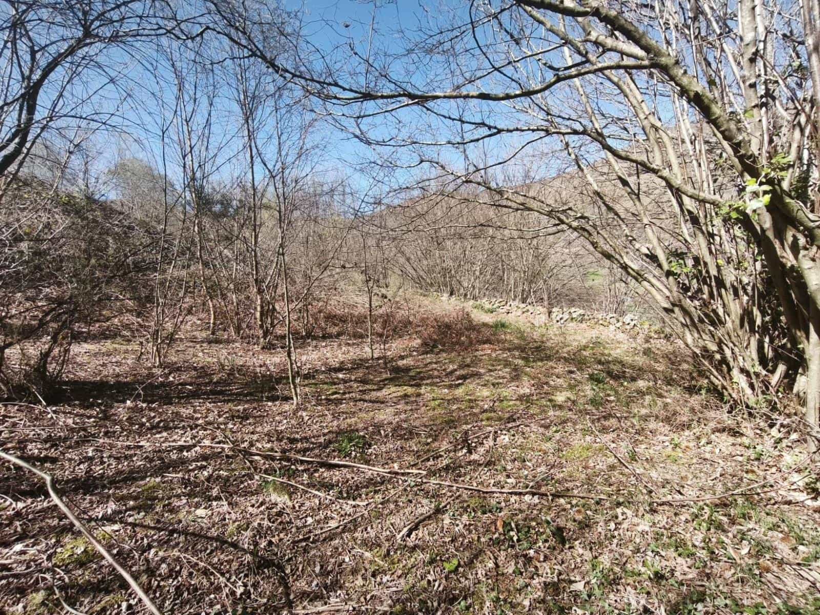 Building Plot for sale in Rionansa - € 99,000 (Ref: 9719779)